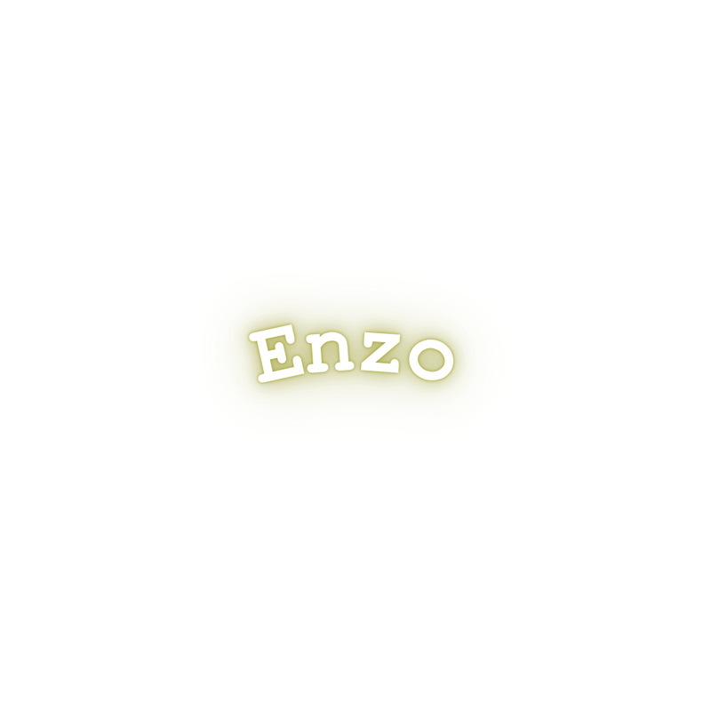Enzo