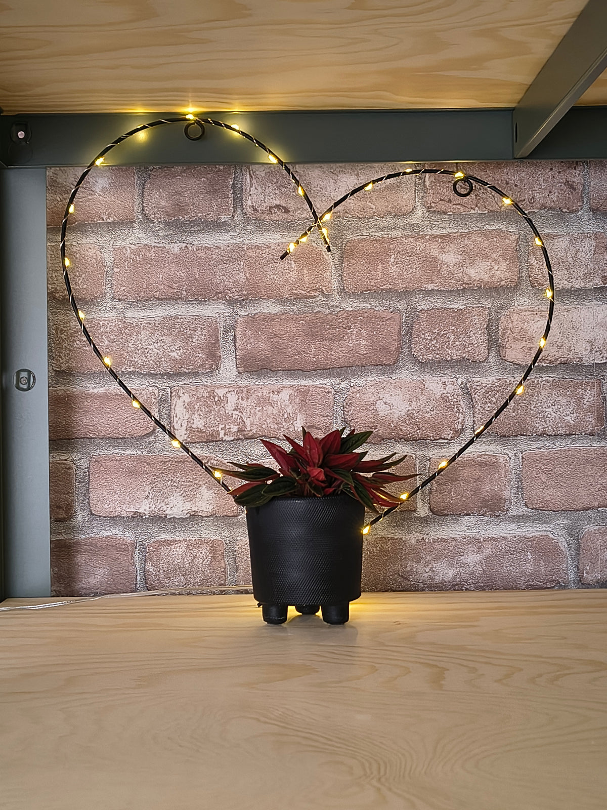 Rattenstaartje - Peperomia caperata 'Rosso'